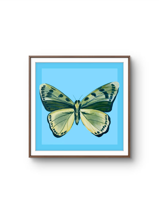 “Lepidoptera” Print