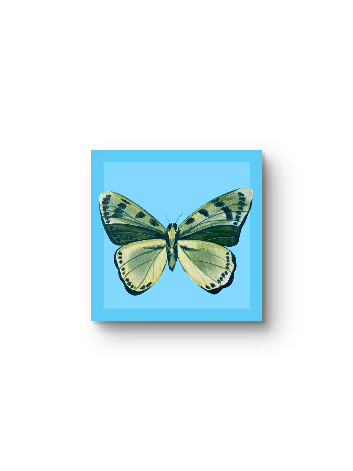 “Lepidoptera" Original Painting