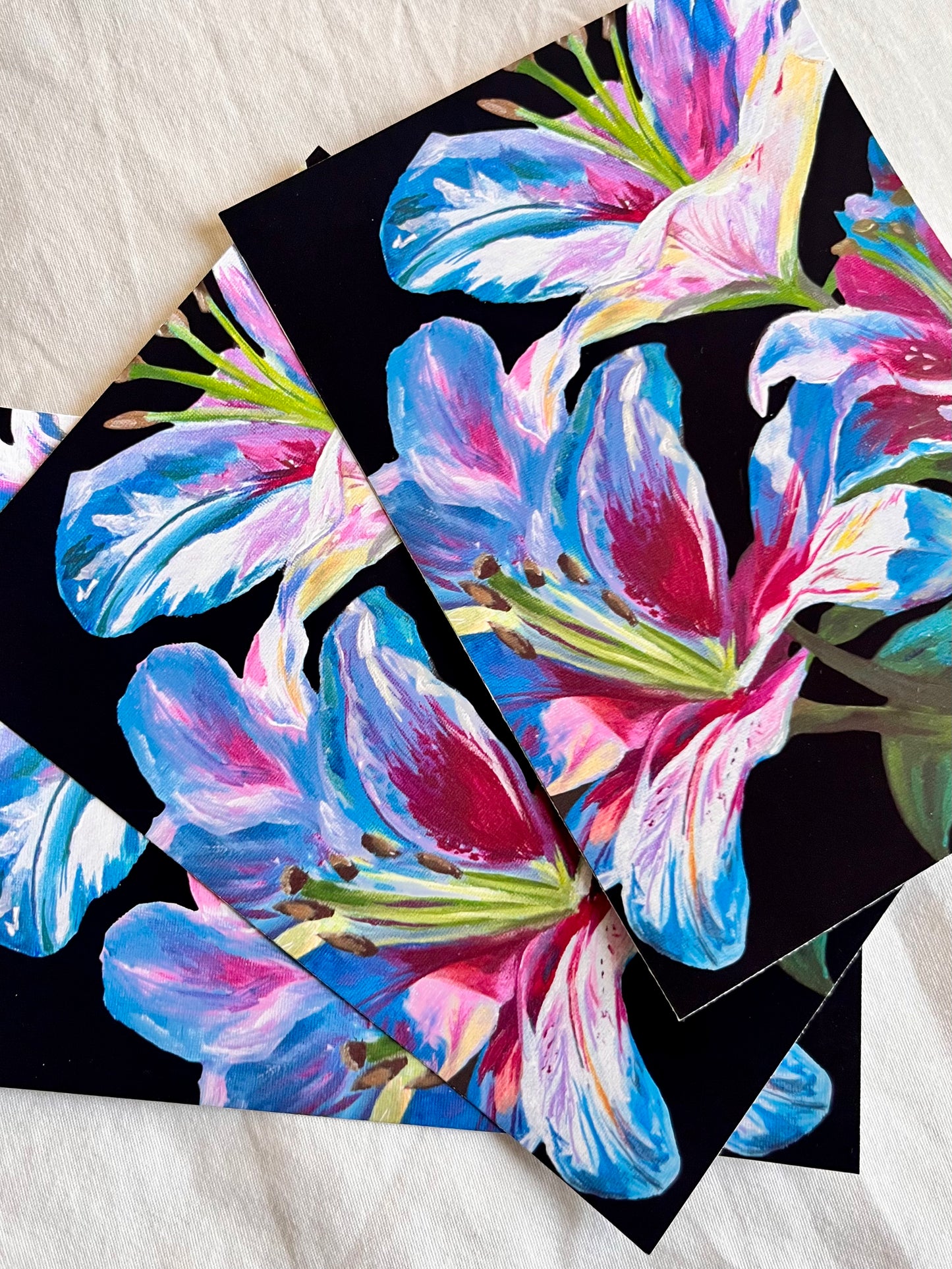 Catch Up: November 2025